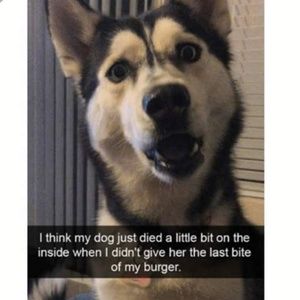 Meet your Posher, Chili